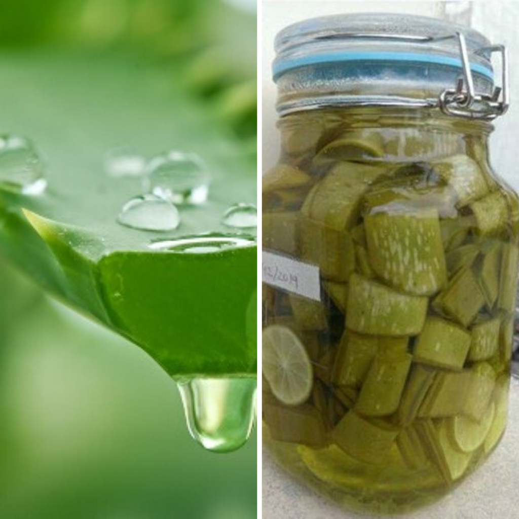 cac buoc thuc hien ruou ngam nha dam